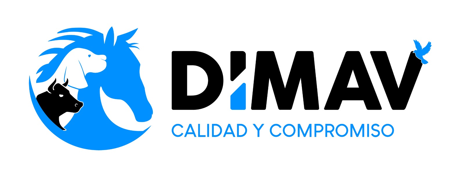 DIMAV MEXICO