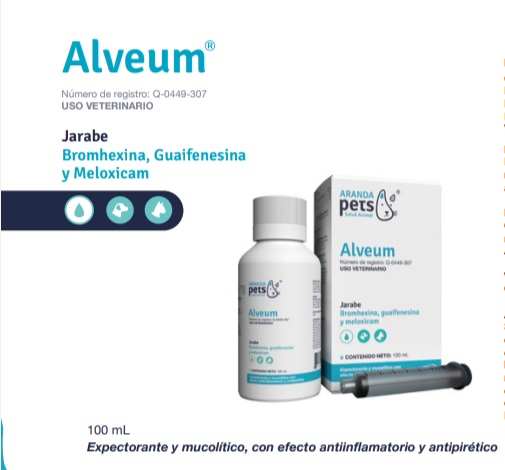 Alveum