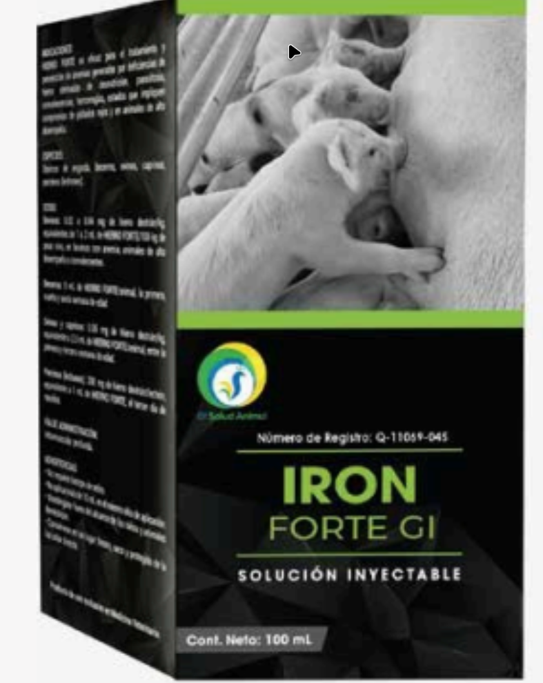 Iron FORTE gi