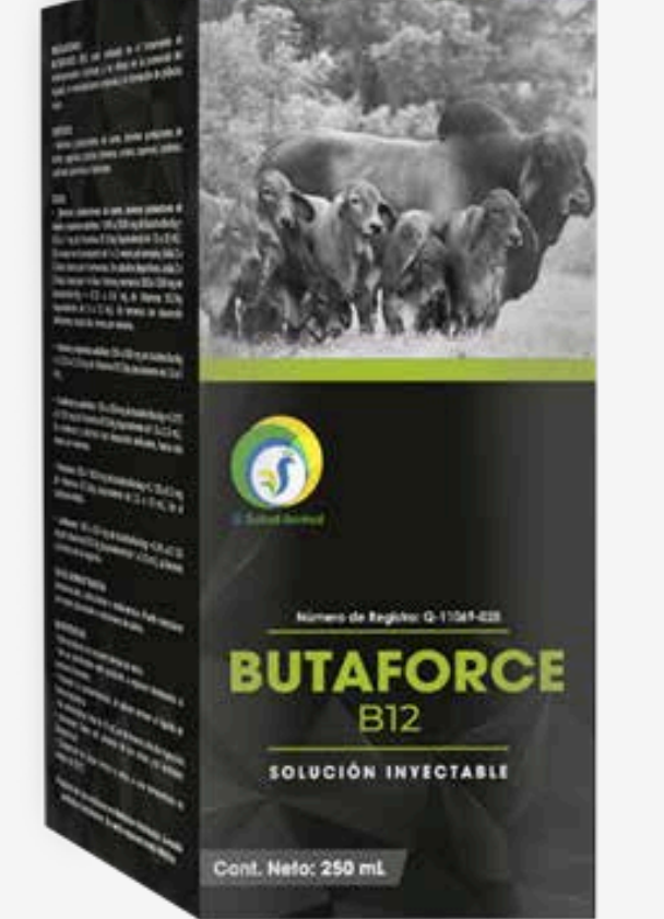 Butaforce